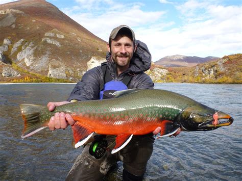 THE 15 BEST Alaska Fishing Charters & Tours (with Prices) .